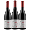 Bella Vita 3 Pack (Amarone style SuperTuscan), Etrusca Organic, Tuscany - The Simple Wine