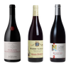 Red Burgundy Starter Set — 3 Bottles from Beaune - The Simple Wine