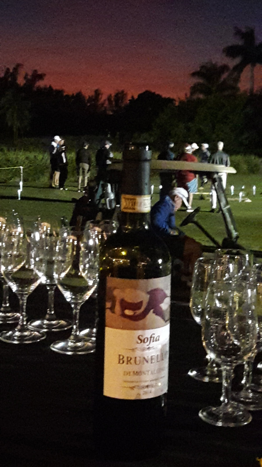 Sofia Brunello Di Montalcino 2015 DOCG 2 pack - The Simple Wine