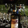 Sofia Brunello di Montalcino 2020 – 3-Pack (Critically Acclaimed Vintage) - The Simple Wine