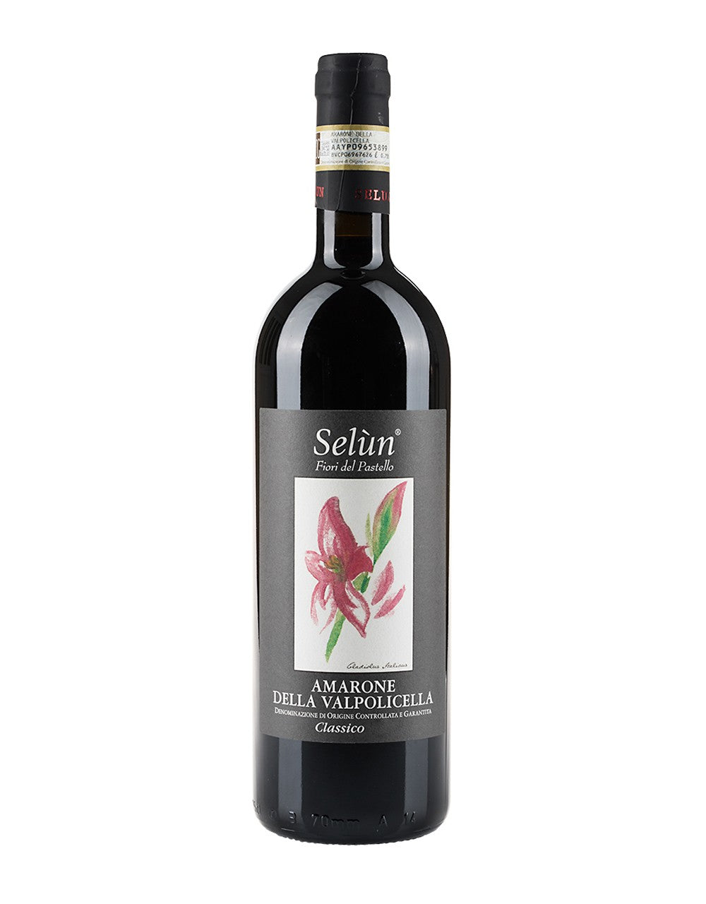 Amarone Della Valpolicella  Classico 2012 DOCG, Selun