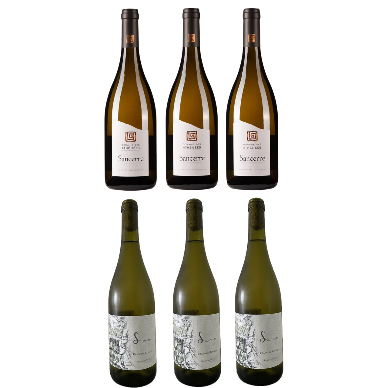 Clean Sancerre 6-Pack | Loire Valley Sauvignon Blanc