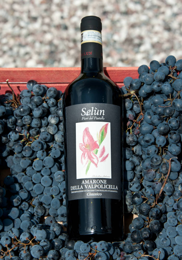 2 PACK-20%OFF Amarone Della Valpolicella  Classico  DOCG, Selun - The Simple Wine