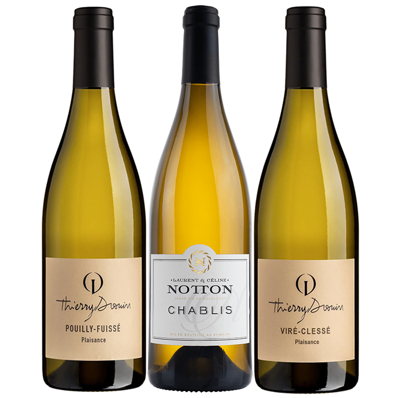 Intro to Burgundy White 3 Pack. Authentic white Burgundy from small producer domaines. Chablis, Pouilly-Fuissé, Viré-Clessé. Clean farming and low sulfites.
