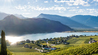 Alto Adige landscape with vineyards, a lake, and mountains under a blue sky.