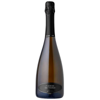 Extra Dry Millesimato, Dissegna Organic Sparkling - The Simple Wine