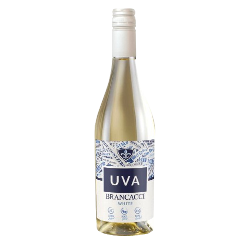 A bottle of UVA Brancacci White wine with a white and blue label, set against a plain white background.
