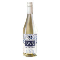 A bottle of UVA Brancacci White wine with a white and blue label, set against a plain white background.