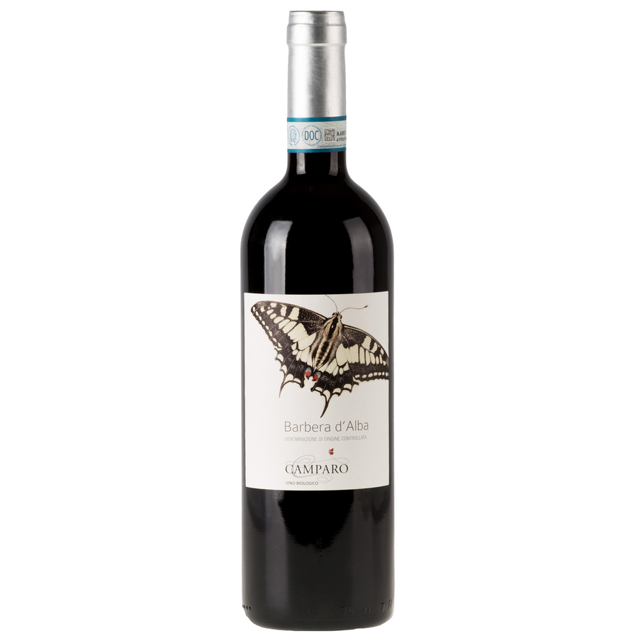 Barbera D'Alba Superiore 2013 DOC Camparo Organic - The Simple Wine