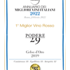 Gelso D'Oro 2019, (Italian Caymus) #1 Best Italian Red of 2022 - The Simple Wine
