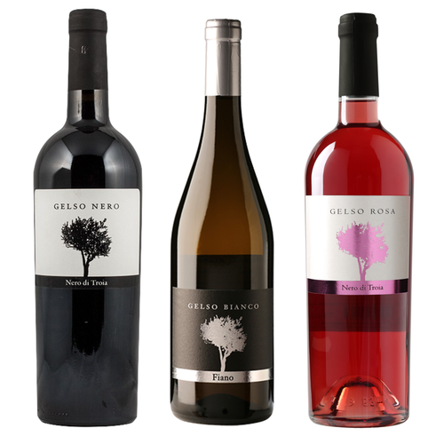 Wines of Puglia Virtual Tasting with Lexi's Wine List - The Simple Wine