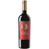Puglia Negroamaro - 12 bottles - The Simple Wine