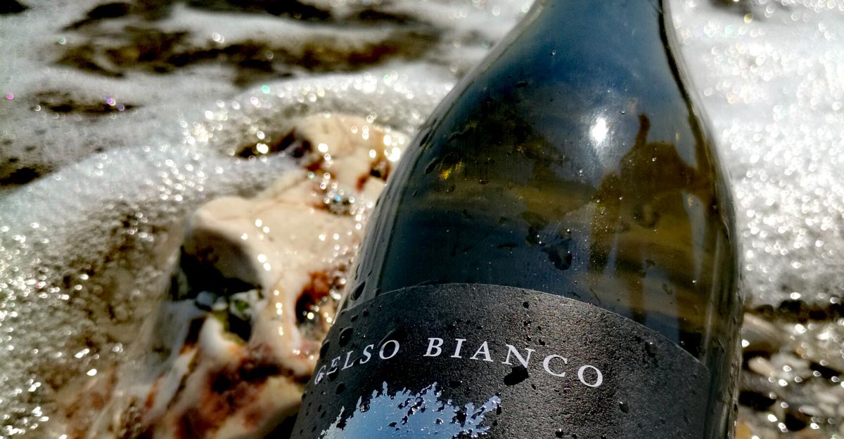 Gelso Bianco , Podere29 organic , Puglia - The Simple Wine