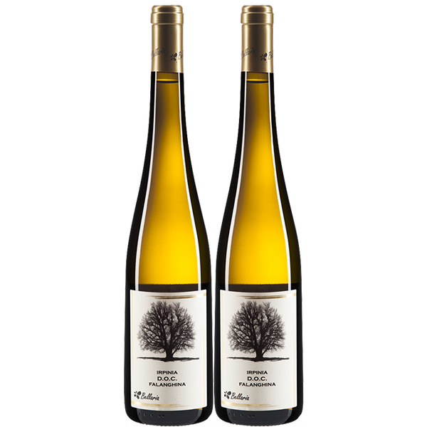 Falanghina Irpinia DOC Bellaria Organic 2 pack - The Simple Wine