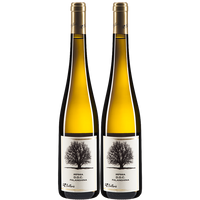 Falanghina Irpinia DOC Bellaria Organic 2 pack - The Simple Wine