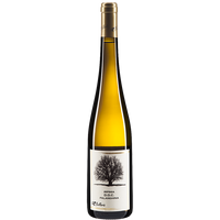 Falanghina Irpinia DOC Bellaria Organic - The Simple Wine