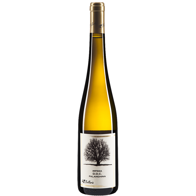 Falanghina Irpinia DOC Bellaria Organic - The Simple Wine